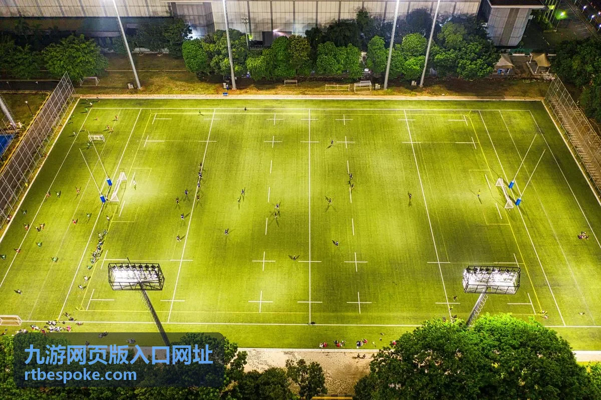 九游网页版入口网址浏览器访问提示画面